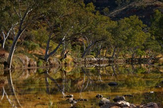 Outback Australia Photos